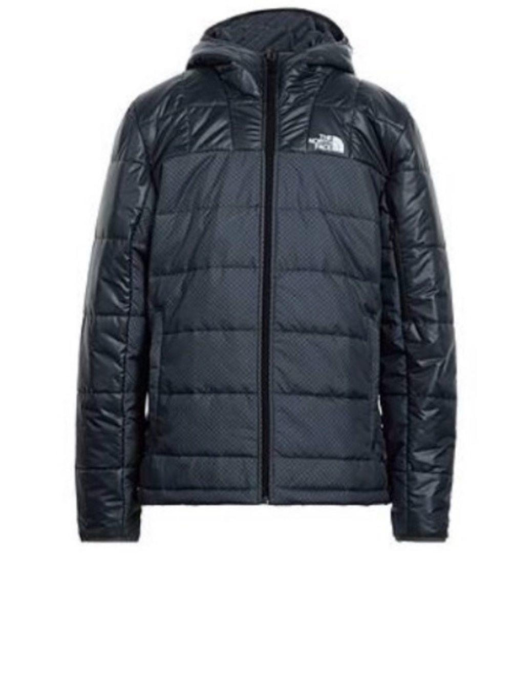 The North Face Men's Quilted Jacket